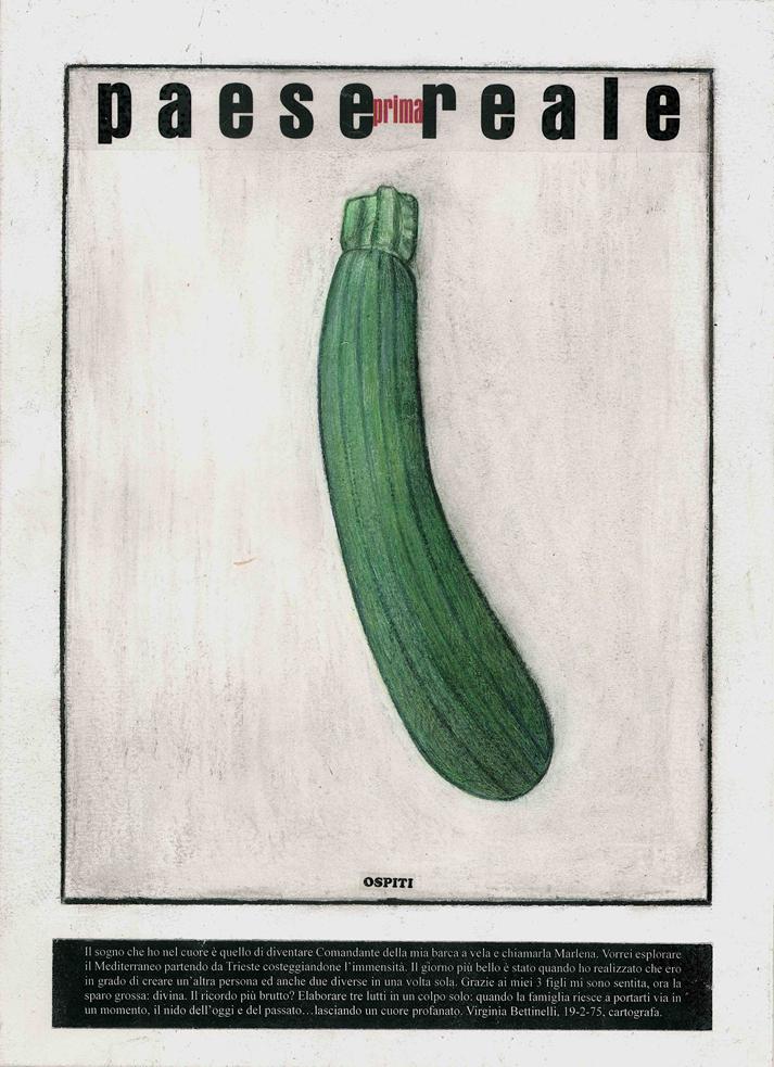 1001 Bettinelli Virginia